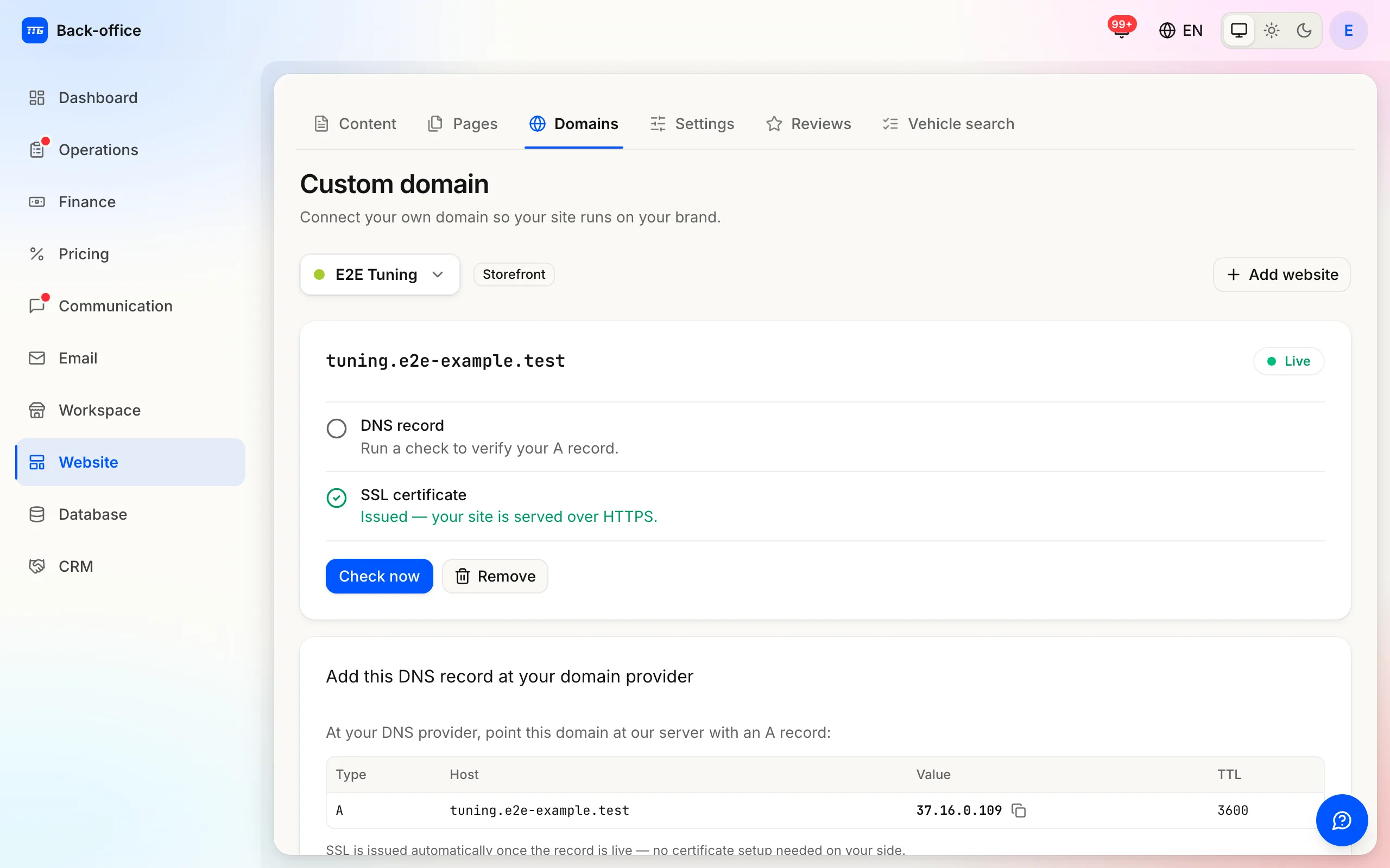 The Custom domain page: the connected domain with its DNS-record and certificate steps.