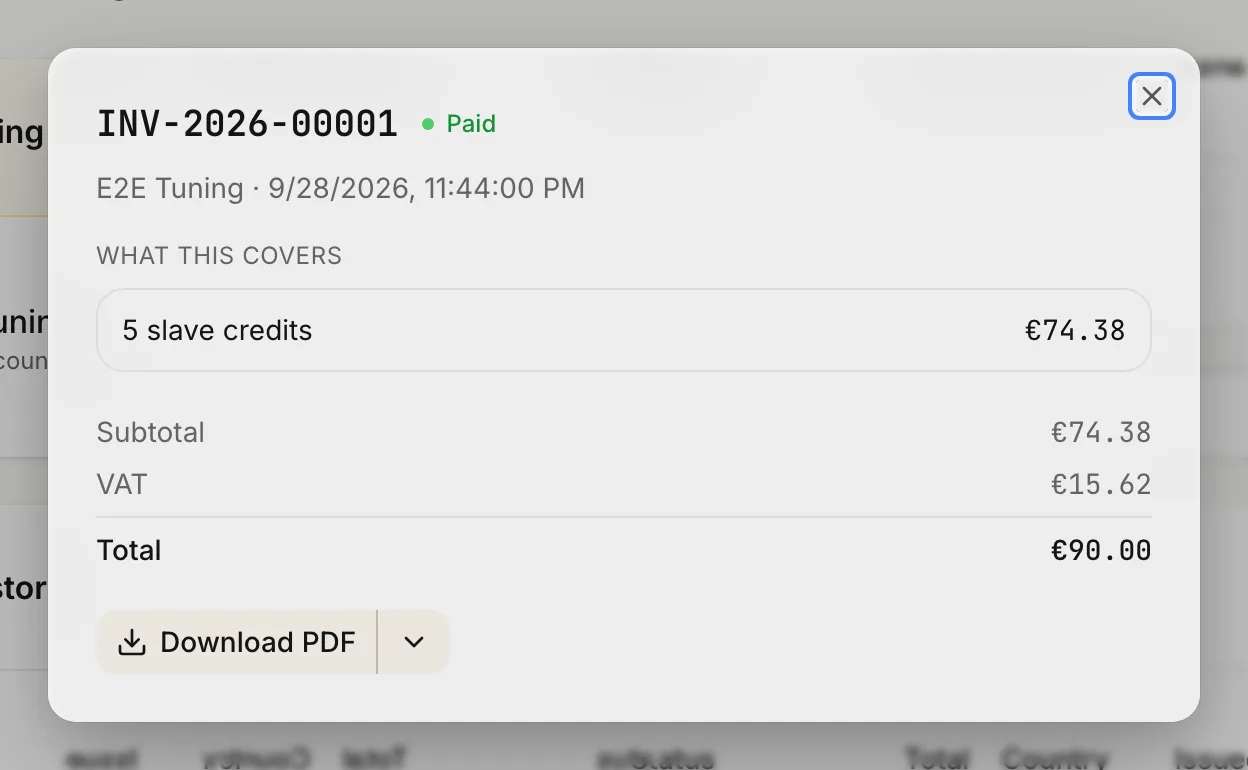 An invoice opened from the list: what was bought, the net amount, the VAT line and the total.